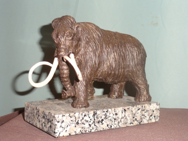 Mamut 13 x 20 cm
